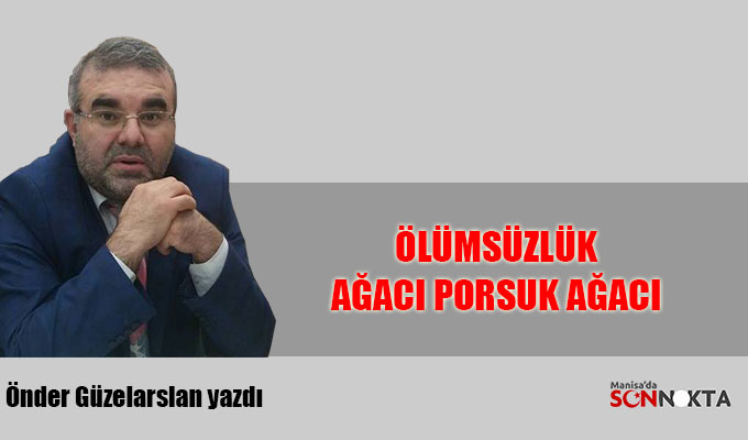 Önder Güzelarslan yazdı: Ölümsüzlük Ağacı Porsuk ağacı 
